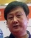 真诚的相思树在维也纳