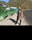 阿丽