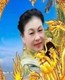 红杜鹃