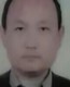 在农场机灵的报春花
